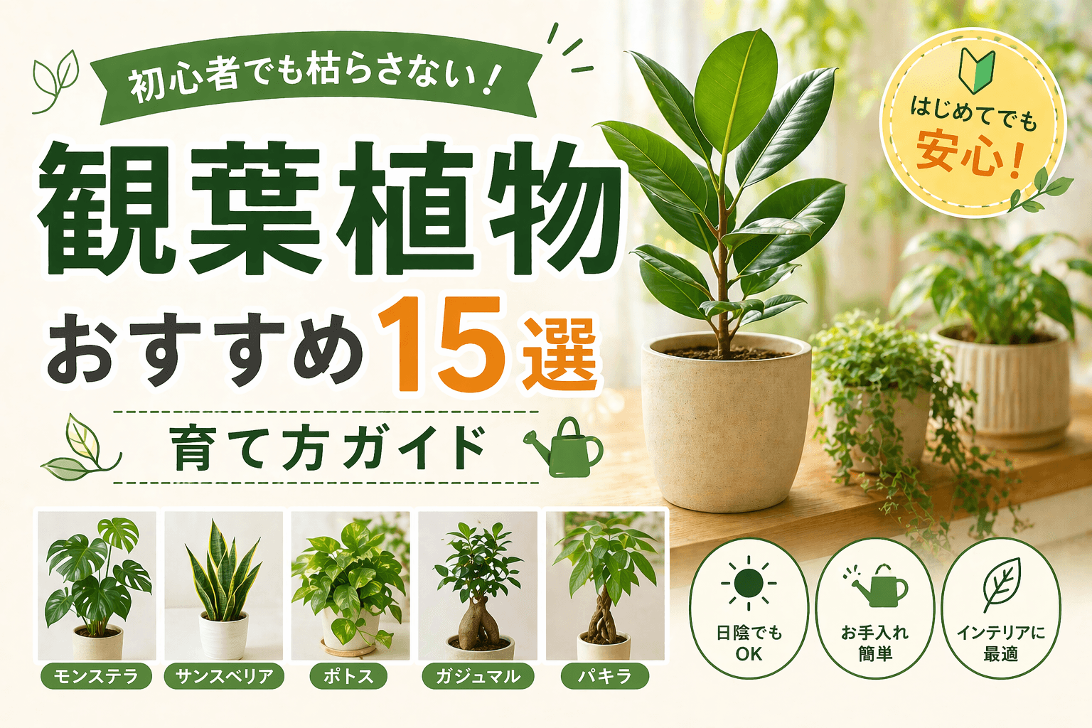 観葉植物おすすめ15選|初心者でも枯らさない育て方ガイド