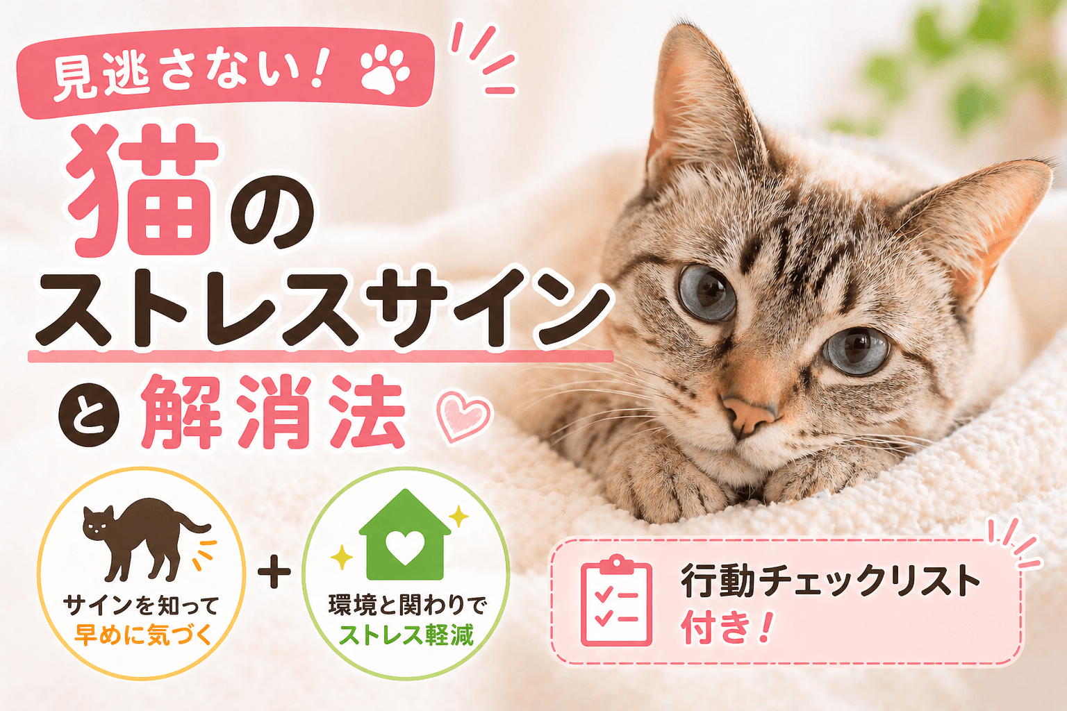 猫のストレスサインと解消法|見逃さない行動チェックリスト